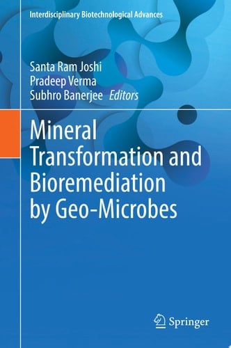 Mineral Transformation and Bioremediation by Geo-Microbes