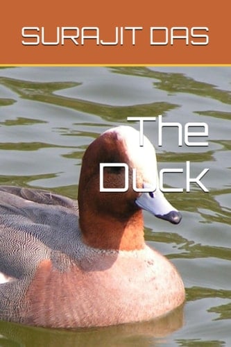 The Duck