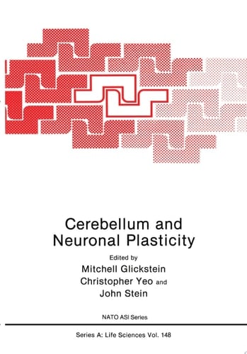 Cerebellum and Neuronal Plasticity