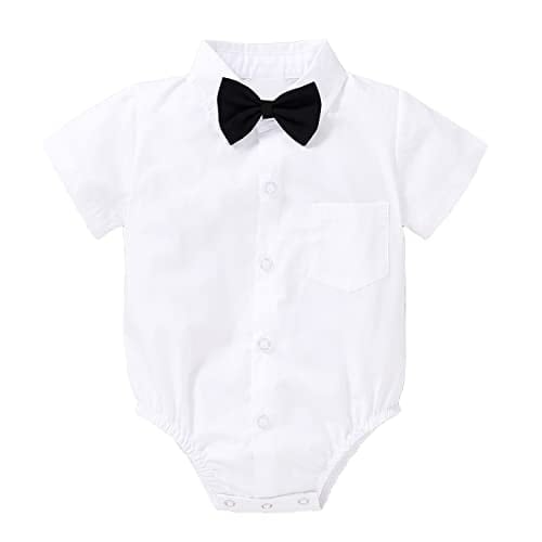 Simulation of ecological processes, (Simulation monographs)