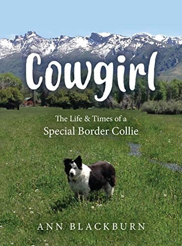 Cowgirl The Life & Times of a Special Border Collie