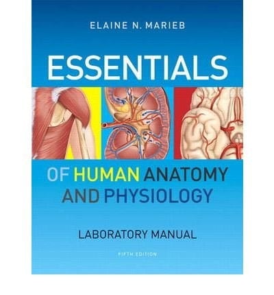 Human Anatomy and Physiology Laboratory Manual
