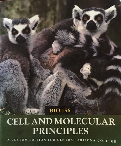 Cell and Molecular Principles: BIO 156 (A Custom Edition For Central Arizona College)