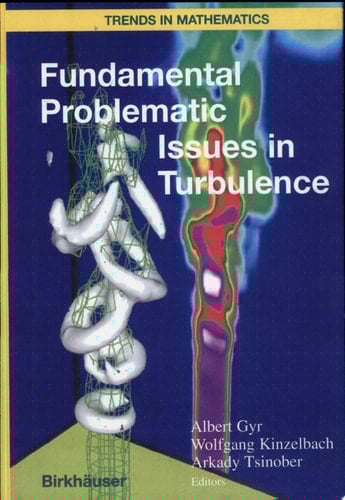 Fundamental Problematic Issues in Turbulence