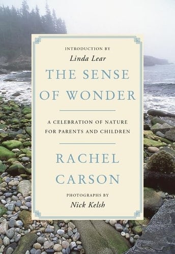 The Sense of Wonder A Celebration of Nature for Parents and Children