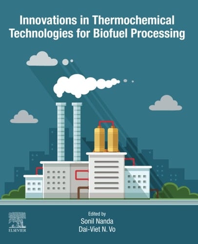 Innovations in Thermochemical Technologies for Biofuel Processing