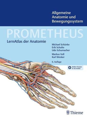 Allgemeine Anatomie und Bewegungssystem