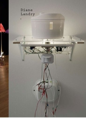 Diane Landry Les Défibrillateurs