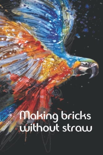 Making bricks without straw: A journal for the art inspired: Parrot in flight