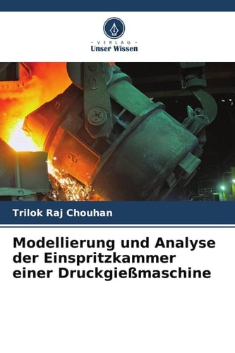 Modellierung und Analyse der Einspritzkammer einer Druckgießmaschine (German Edition)