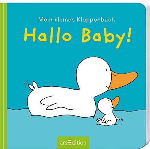 Hallo Baby! mein kleines Klappenbuch