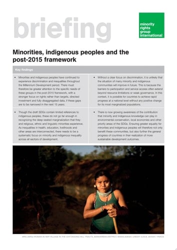 Minorities, indigenous peoples and the post-2015 framework