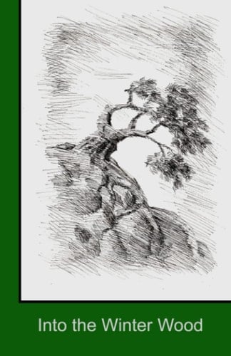 Into the Winter Wood