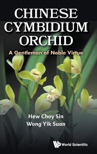 Chinese Cymbidium Orchid A Gentleman of Noble Virtue