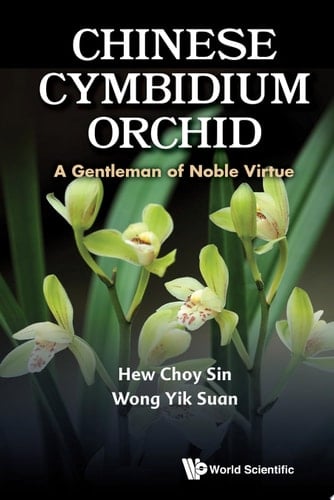 Chinese Cymbidium Orchid: A Gentleman Of Noble Virtue