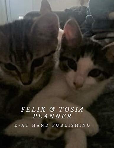 Felix and Tosia Planner Special Place to Enter Expenses, Revenues, Savings. Large Size, 146 Pages