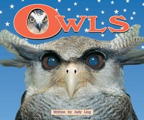Owls