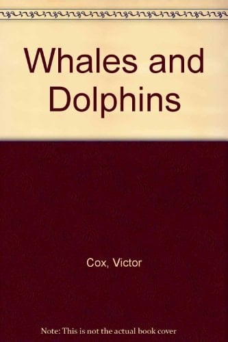 Whales and Dolphins