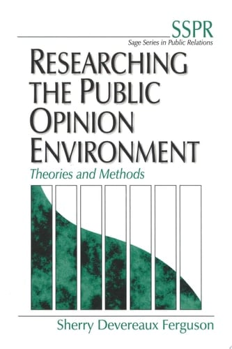 Researching the Public Opinion Environment