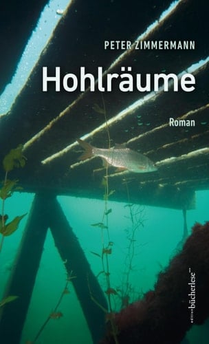Hohlräume Roman