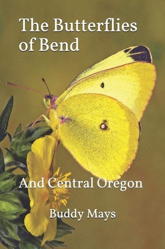 The Butterflies of Bend And Central Oregon
