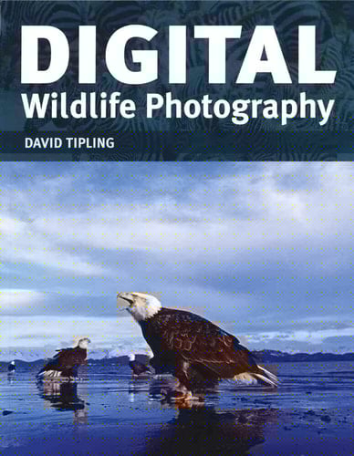 Digital Wildlife Photography