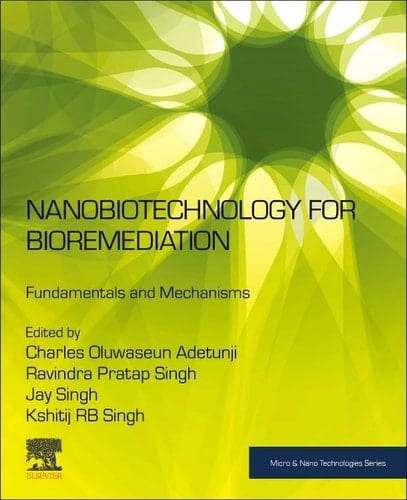 Nanobiotechnology for Bioremediation Fundamentals and Mechanisms