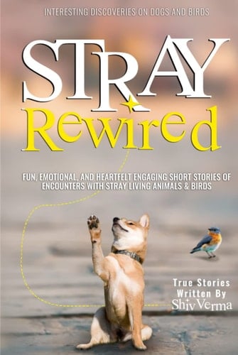 Stray Rewired: Interesting Discoveries on Dogs & Birds