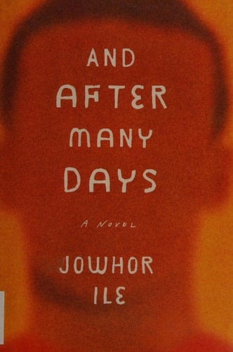 And After Many Days A Novel