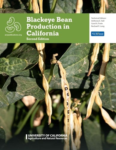 Blackeye Bean Production in California