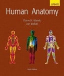 Human Anatomy and Physiology