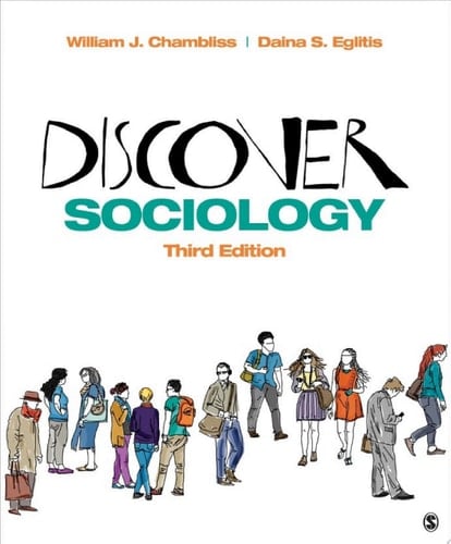 Discover Sociology NULL