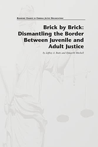 Brick by Brick Dismantling the Border Between Juvenile and Adult Justice