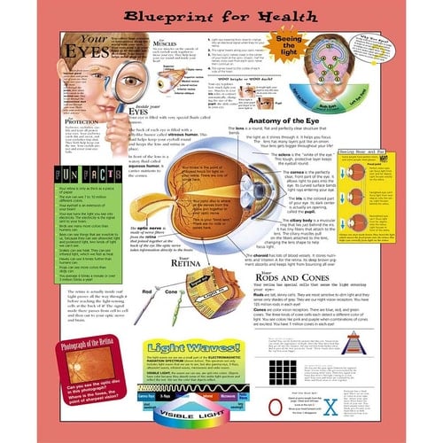 Blueprint for Health Your Eyes Chart