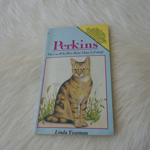 Perkins The Cat who was More Than a Friend