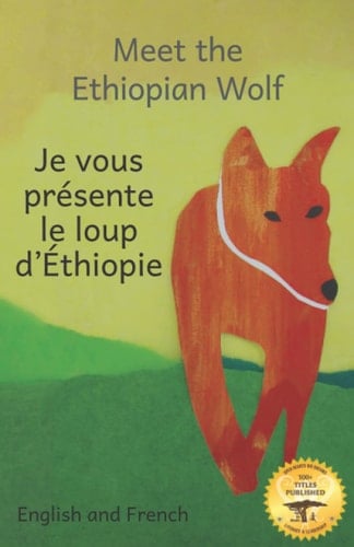 Meet the Ethiopian Wolf Africa's Most Endangered Carnivore in French and English