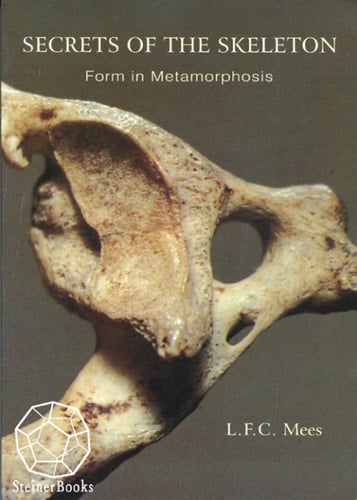 Secrets of the Skeleton