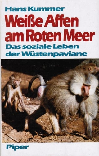Weisse Affen am Roten Meer das soziale Leben der Wüstenpaviane