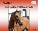 Switch... the Luckiest Horse of All!