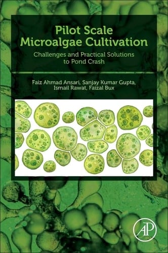 Pilot Scale Microalgae Cultivation Challenges and Practical Solutions to Pond Crash
