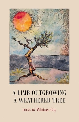 A Limb Outgrowing a Weathered Tree