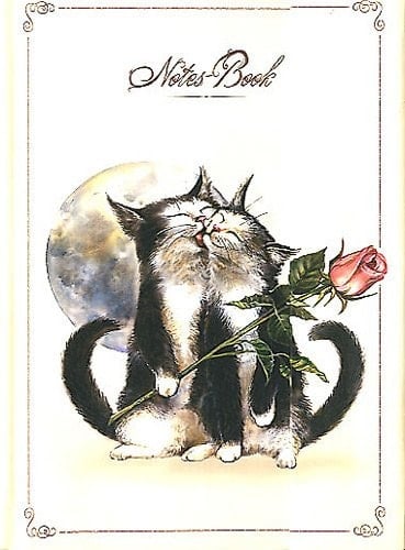 Notes-Book 9x18 chats enchantés