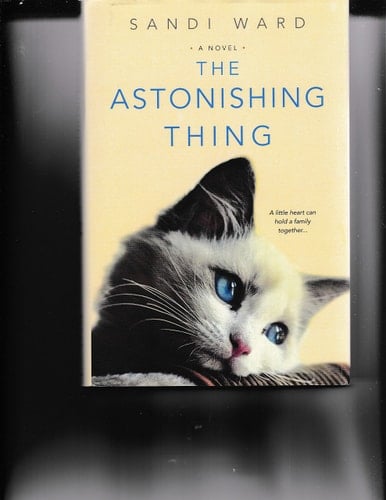 The Astonishing Thing [large Print]