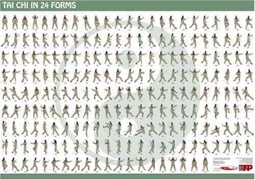Tai Chi In 24 Forms