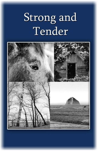 Strong and Tender A Guide for the Father Whose Baby Has Died