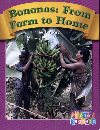 Bananas From Farm to Home