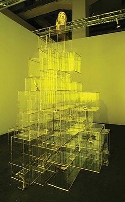 Terence Koh: 1980-2008: Love for Eternity