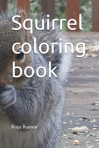 Squirrel coloring book