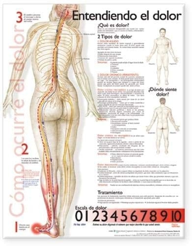 Understanding Pain Anatomical Chart in Spanish