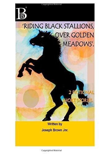 Riding Black Stallions Over Golden Meadows